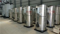  3噸大棚熱水鍋爐