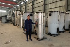 2噸低氮燃?xì)忮仩t