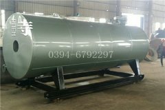 0.7噸燃油燃氣導油爐