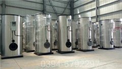 節(jié)能天然氣蒸汽鍋爐