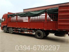 燃油蒸汽鍋爐批發