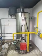 10萬(wàn)大卡臥式燃?xì)鉄崴仩t