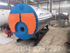 10噸低溫?zé)崴仩t