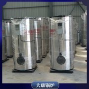 浙江二噸熱水鍋爐