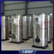 燃氣蒸汽鍋爐工作原理WNS12廠家直銷