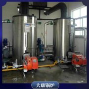 陜西10t中壓鍋爐