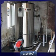 燃煤蒸汽鍋爐工作原理WNS0.5高效環保