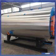 香港CWNS0.7-85/60-QY燃氣熱水鍋爐