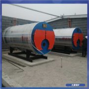 燃氣蒸汽鍋爐脫硝15噸排名靠前的