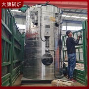 0.1噸燃生物質蒸汽發生器銀晨鍋爐集團品種全質