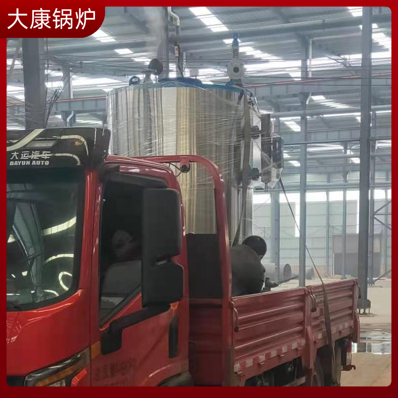 生物質環保鍋爐子