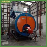 d型燃?xì)庹羝仩t6噸 8噸專業(yè)設(shè)計(jì)性價(jià)比高