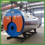 遼寧0.4mw導熱油爐