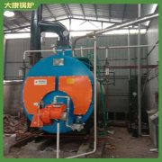 臥式燃?xì)馊加驼羝仩tWNS10出口三十余個(gè)國(guó)家