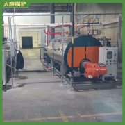 燒生物質蒸汽鍋爐WNS15蒸饅頭用