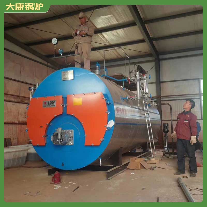 生物質蒸汽鍋爐立式