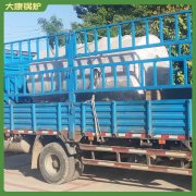 新疆YYQW-350低氮導熱油爐