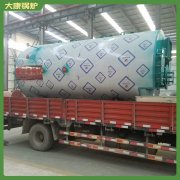 海南cwzk4.2低氮導油爐