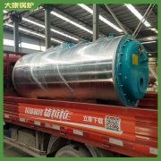 江西0.7mw低氮鍋爐