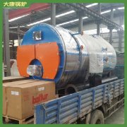 四噸燃?xì)庹羝仩tWNS10免檢的