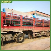 十噸低氮冷凝蒸汽鍋爐河南銀晨鍋爐