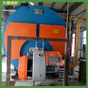 重慶10.5mw蒸汽發生器