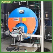 重慶5萬大卡低氮導(dǎo)熱油爐