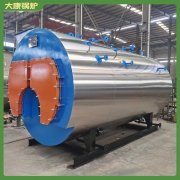 西藏12t冷凝蒸汽鍋爐