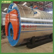 重慶20t蒸汽鍋爐