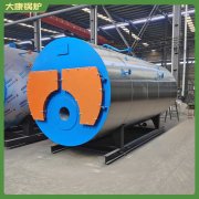 蒸汽發生器與鍋爐WNS3生產廠家直銷