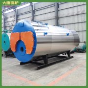 熱水爐和蒸汽鍋爐4噸具有核心技術(shù)的