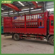 二十年生產(chǎn)經(jīng)驗負(fù)壓燃燒鍋爐銀晨鍋爐集團(tuán)