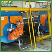 常負壓燃油鍋爐WNS10做涼皮用
