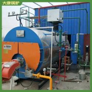 陜西20t低壓鍋爐