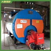 中國一噸冷凝鍋爐