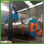 二十年生產經驗dhs鍋爐鼎盛鍋爐